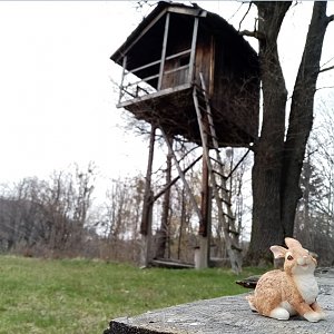 Jiřina na vrcholu Bačův kopec (18.4.2022 14:36)