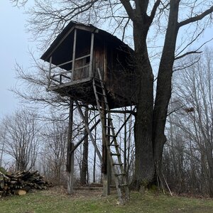 Radka D na vrcholu Bačův kopec (29.2.2024 14:36)