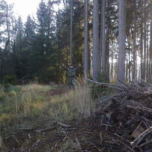 Fin on the summit of Jedlina (30.11.2024 12:35)