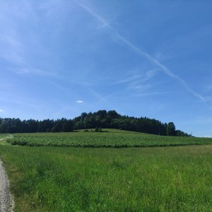 Vratislav Sejkora na vrcholu Antošův kopec (28.5.2026 16:08)