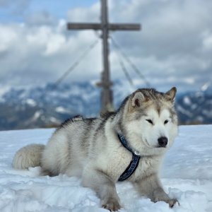 Iwet na vrcholu Vöttleck (6.4.2026 12:11)