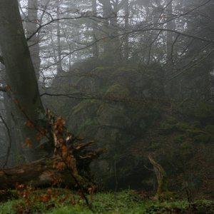 Bouřka on the summit of Kapradinec (5.5.2017 8:15)