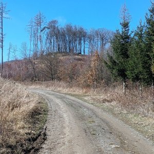 Milda on the summit of Nad Zavadilkou (16.3.2025 11:23)