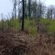 Jirka Zajko on peak Nad Zavadilkou (15.4.2025)