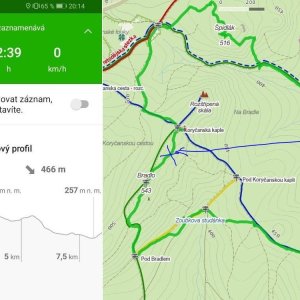Jiřina na vrcholu Bradlo SV (31.5.2022 18:45)