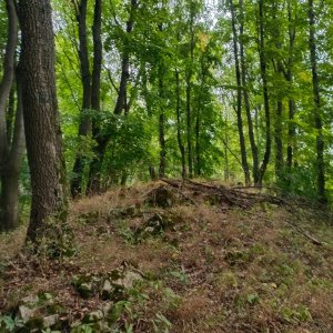 AlenaŠ na vrcholu Bradlo SV (23.8.2025 8:22)