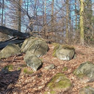Milda on the summit of Kazatelna SV (16.3.2025 14:26)