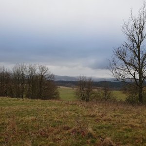 Nojby na vrcholu Ostrý vrch (31.3.2025)