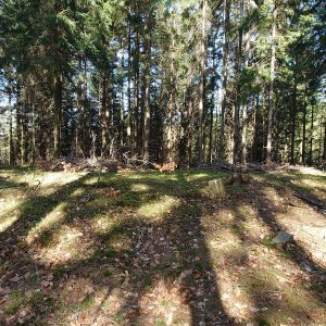 Nojby na vrcholu Vlčinec J (17.4.2025 10:20)