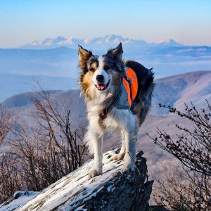 Jiří Králík on the summit of Šimonka (29.12.2025 11:59)
