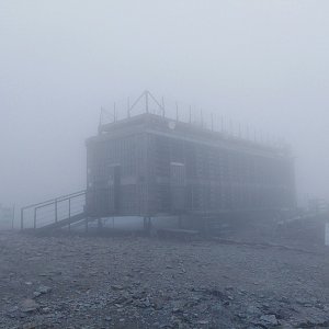 Kacza na vrcholu Sněžka (10.6.2020 12:52)