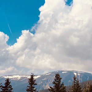 Danushka na vrcholu Sněžka (5.6.2021 15:11)