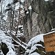 p_e_t_r_95 na vrcholu Křížový vrch (10.1.2021)