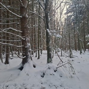 Cyklista 73 na vrcholu Břímovka (1.1.2026 14:40)