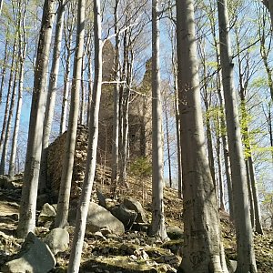 Žulovská pahorkatina