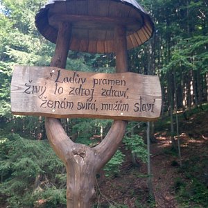 Jana Těšíková na vrcholu Vysoká (31.8.2019 14:49)