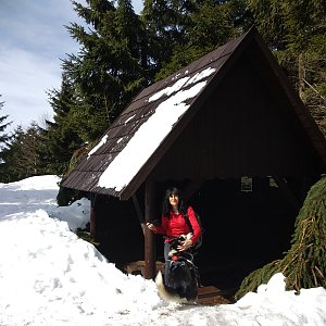 Jana Mayerová na vrcholu Vysoká (17.3.2019 12:23)