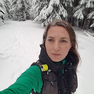 Hostýnsko-vsetínská hornatina