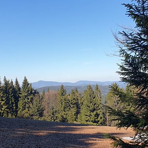 Martaska on the summit of Vysoká (10.4.2020 15:41)