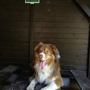 Karolína Ježovičová na vrcholu Vysoká (14.7.2020 18:14)