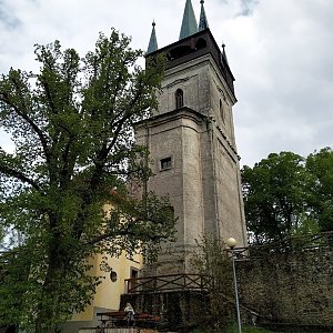 Badger na vrcholu Žďár (7.5.2022 19:04)