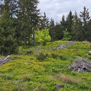 Jan na vrcholu Rozsocha (8.5.2025 16:39)