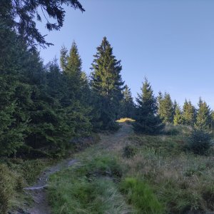 Vratislav Sejkora na vrcholu Rozsocha (8.9.2026 16:54)