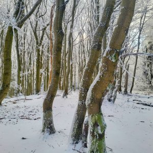 Pavel Vohryzka na vrcholu Hlubocký hřeben (22.11.2025 9:59)