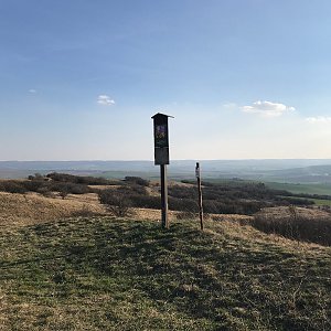 David na vrcholu Větrník (19.3.2020 15:59)