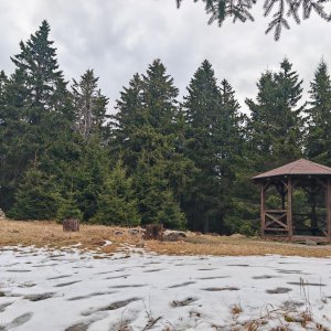 Hloust on the summit of Lesný (3.4.2026 16:13)