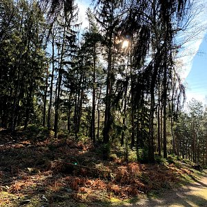 Křivoklátská vrchovina