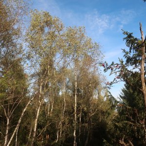 Bouřka on the summit of Muchov Z3 (1.10.2026 16:04)