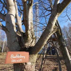 Nojby na vrcholu Buchenberg  (20.3.2025 15:45)