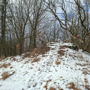 Cyklista 73 on the summit of Kloč (Pařez) (21.2.2026 14:29)