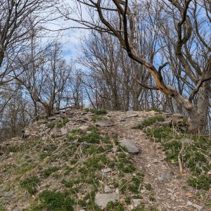 Luboš N. on the summit of Kloč (Pařez) (15.4.2026 13:41)