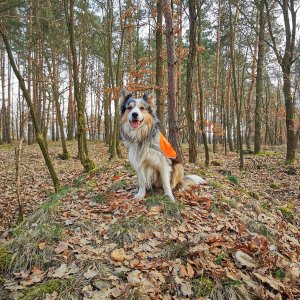 Jiří Králík na vrcholu Beňov (25.3.2025 17:07)