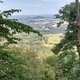 Mykas na vrcholu Tisový vrch (27.8.2024)