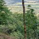 Mykas na vrcholu Tisový vrch (27.8.2024)