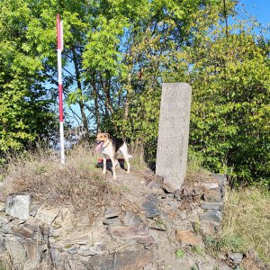 Figgo na vrcholu Doubrava (10.9.2023 9:25)