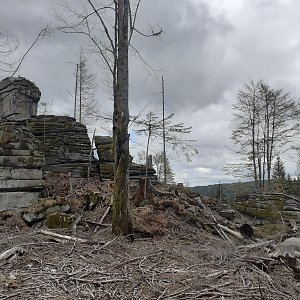 Ráďa Hojdís on the summit of Špičák (17.5.2021 12:09)