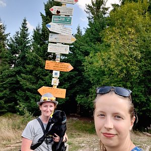 V+V Soklíci na vrcholu Malý Javorník (31.8.2019 14:43)