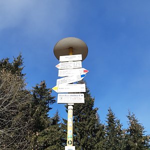 ZdenkaV na vrcholu Malý Javorník (6.11.2022 11:18)