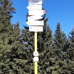 Arni na vrcholu Malý Javorník (3.9.2020 13:05)
