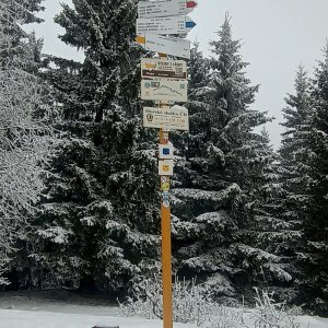Stanlynka90 on the summit of Malý Javorník (31.1.2026 13:34)