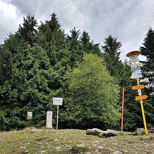 lubob na vrcholu Malý Javorník (28.7.2017 14:00)