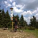 Fíkus na vrcholu Malý Javorník (25.5.2019 11:30)