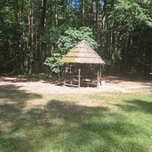 Milton on the summit of Čertův dub (25.7.2026 13:58)