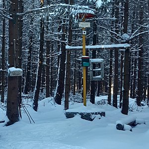 Svitavská pahorkatina