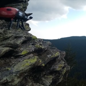 Jiřina on the summit of Sokol SV (22.3.2026 11:36)