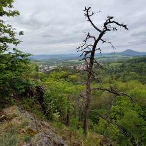 Profesorskey - Jan Bratt on the summit of Jehla (9.5.2026 11:49)